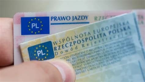 kupione prawo jazdy